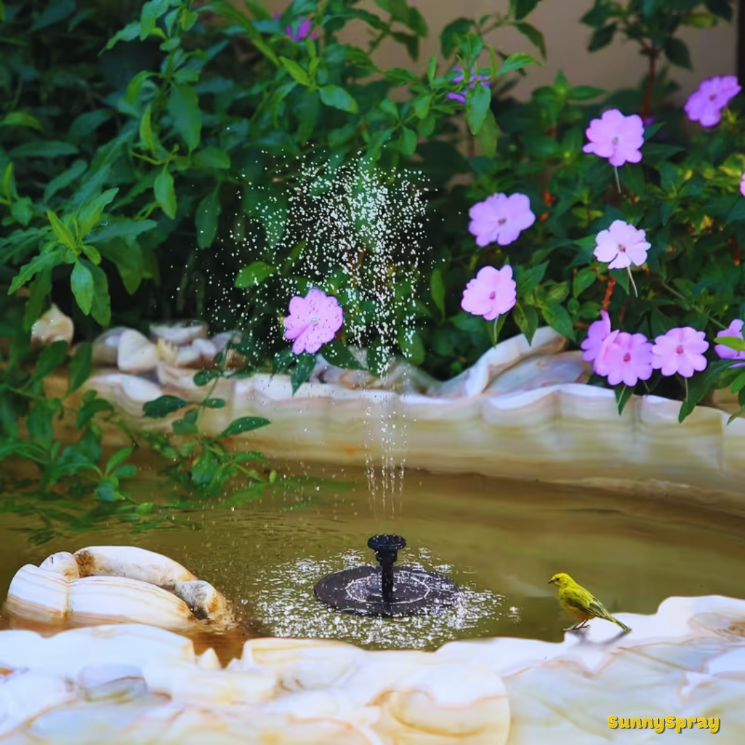 Solar Fountain Pump